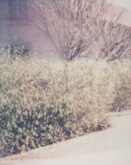 claudia eschborn. books and photographs