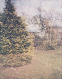 claudia eschborn. books and photographs