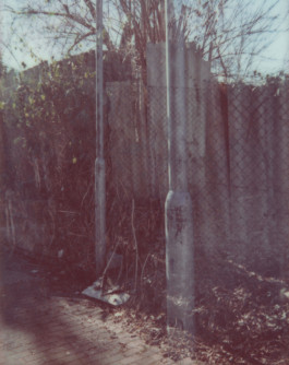 claudia eschborn. books and photographs