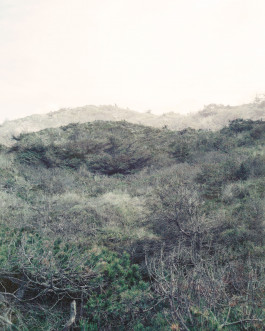 claudia eschborn. books and photographs