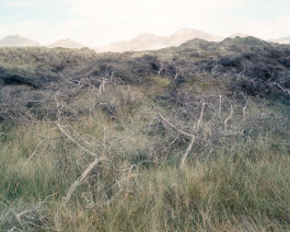 claudia eschborn. books and photographs