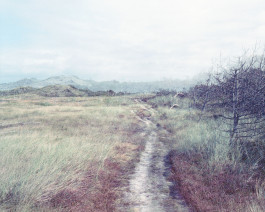 claudia eschborn. books and photographs