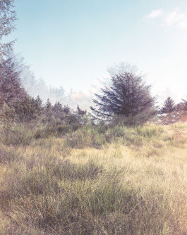 claudia eschborn. books and photographs