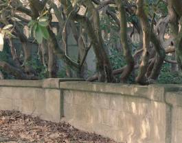 claudia eschborn. books and photographs