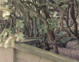 claudia eschborn. books and photographs