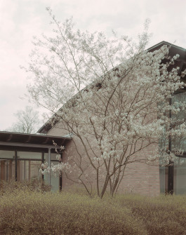 claudia eschborn. books and photographs