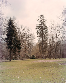 claudia eschborn. books and photographs