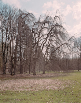 claudia eschborn. books and photographs