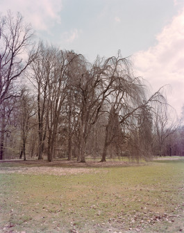 claudia eschborn. books and photographs