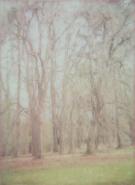 claudia eschborn. books and photographs