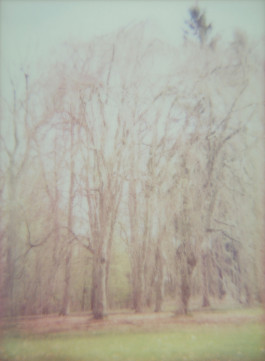 claudia eschborn. books and photographs