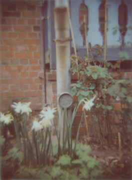 claudia eschborn. books and photographs