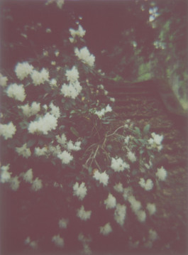 claudia eschborn. books and photographs