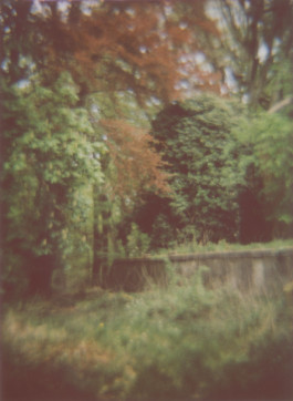 claudia eschborn. books and photographs