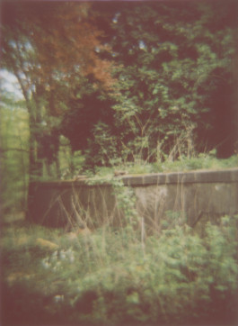 claudia eschborn. books and photographs