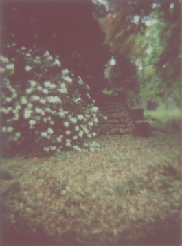 claudia eschborn. books and photographs