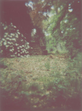 claudia eschborn. books and photographs