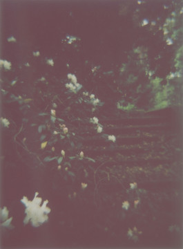 claudia eschborn. books and photographs