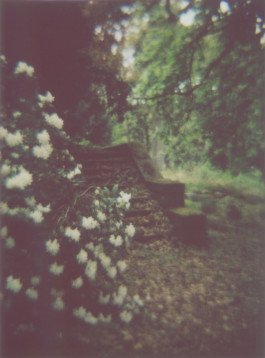 claudia eschborn. books and photographs