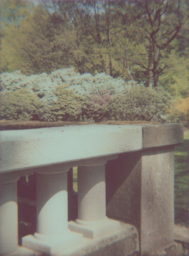 claudia eschborn. books and photographs