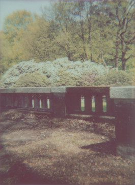 claudia eschborn. books and photographs