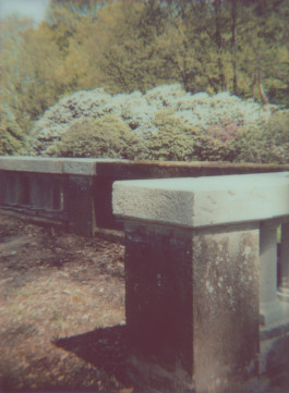 claudia eschborn. books and photographs