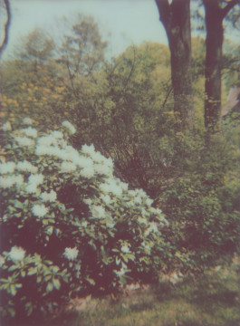 claudia eschborn. books and photographs