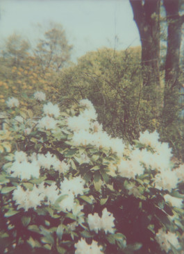 claudia eschborn. books and photographs