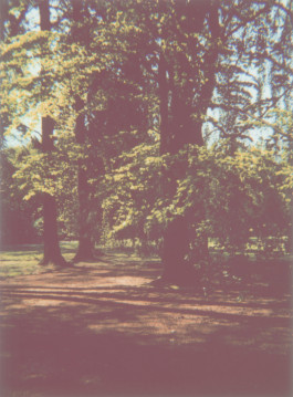 claudia eschborn. books and photographs