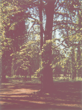 claudia eschborn. books and photographs