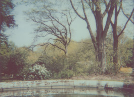 claudia eschborn. books and photographs