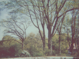 claudia eschborn. books and photographs