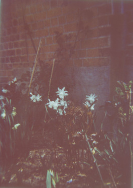 claudia eschborn. books and photographs