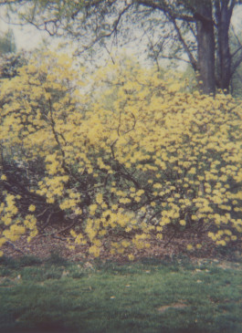 claudia eschborn. books and photographs