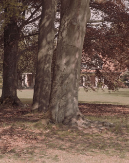 claudia eschborn. books and photographs