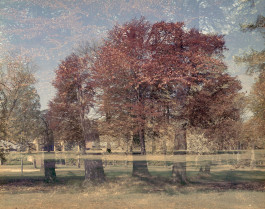 claudia eschborn. books and photographs