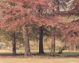 claudia eschborn. books and photographs