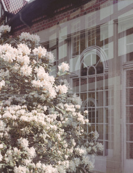 claudia eschborn. books and photographs