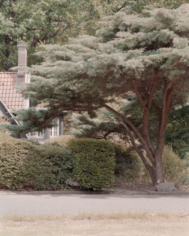 claudia eschborn. books and photographs