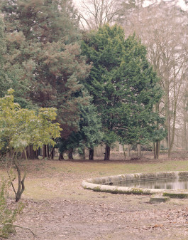 claudia eschborn. books and photographs