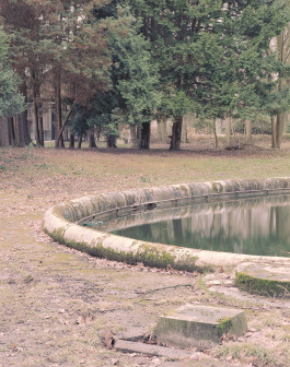 claudia eschborn. books and photographs