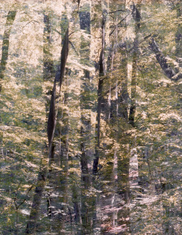 claudia eschborn. books and photographs