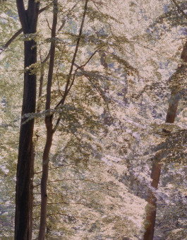 claudia eschborn. books and photographs