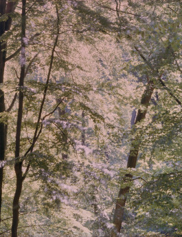 claudia eschborn. books and photographs