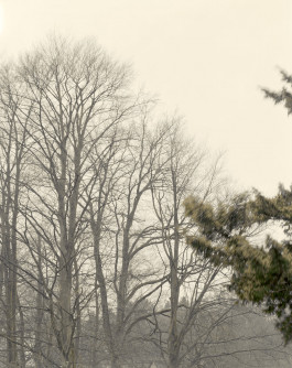 claudia eschborn. books and photographs