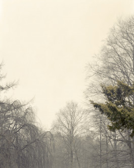 claudia eschborn. books and photographs