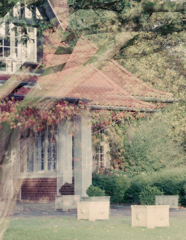 claudia eschborn. books and photographs