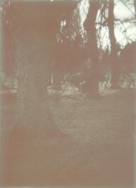 claudia eschborn. books and photographs