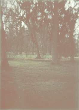 claudia eschborn. books and photographs