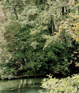 claudia eschborn. books and photographs